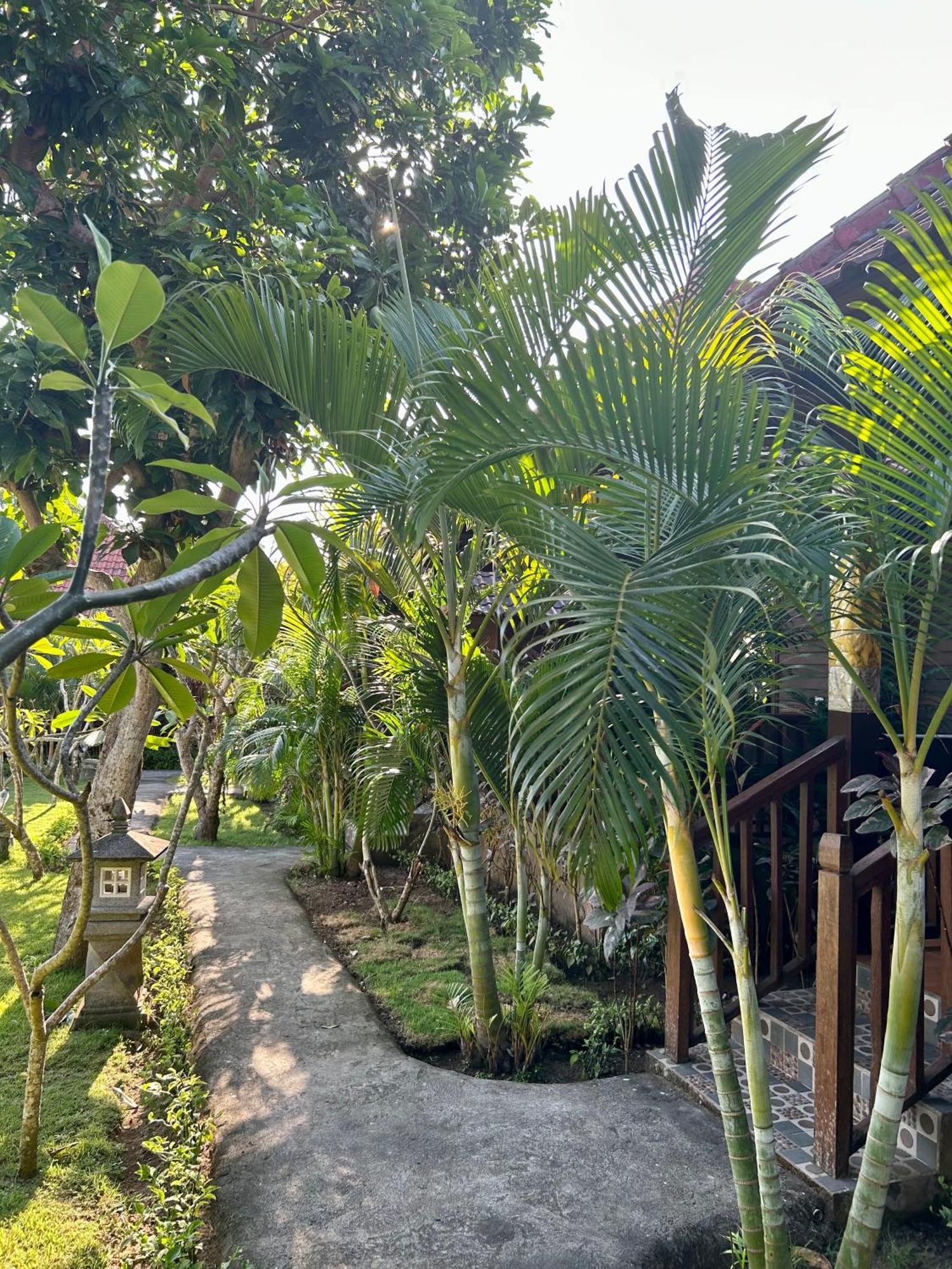 水手花园小屋住宿加早餐旅馆 蓝梦岛 外观 照片