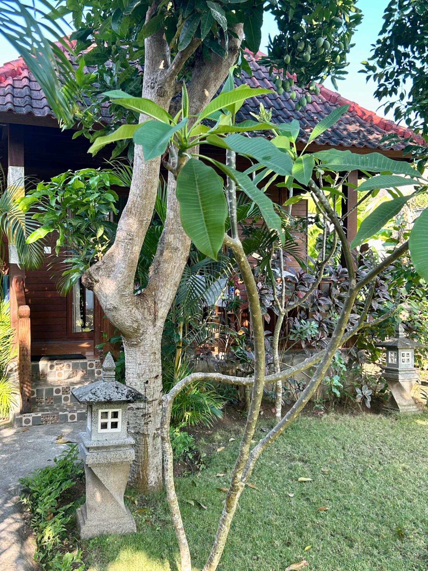 水手花园小屋住宿加早餐旅馆 蓝梦岛 外观 照片