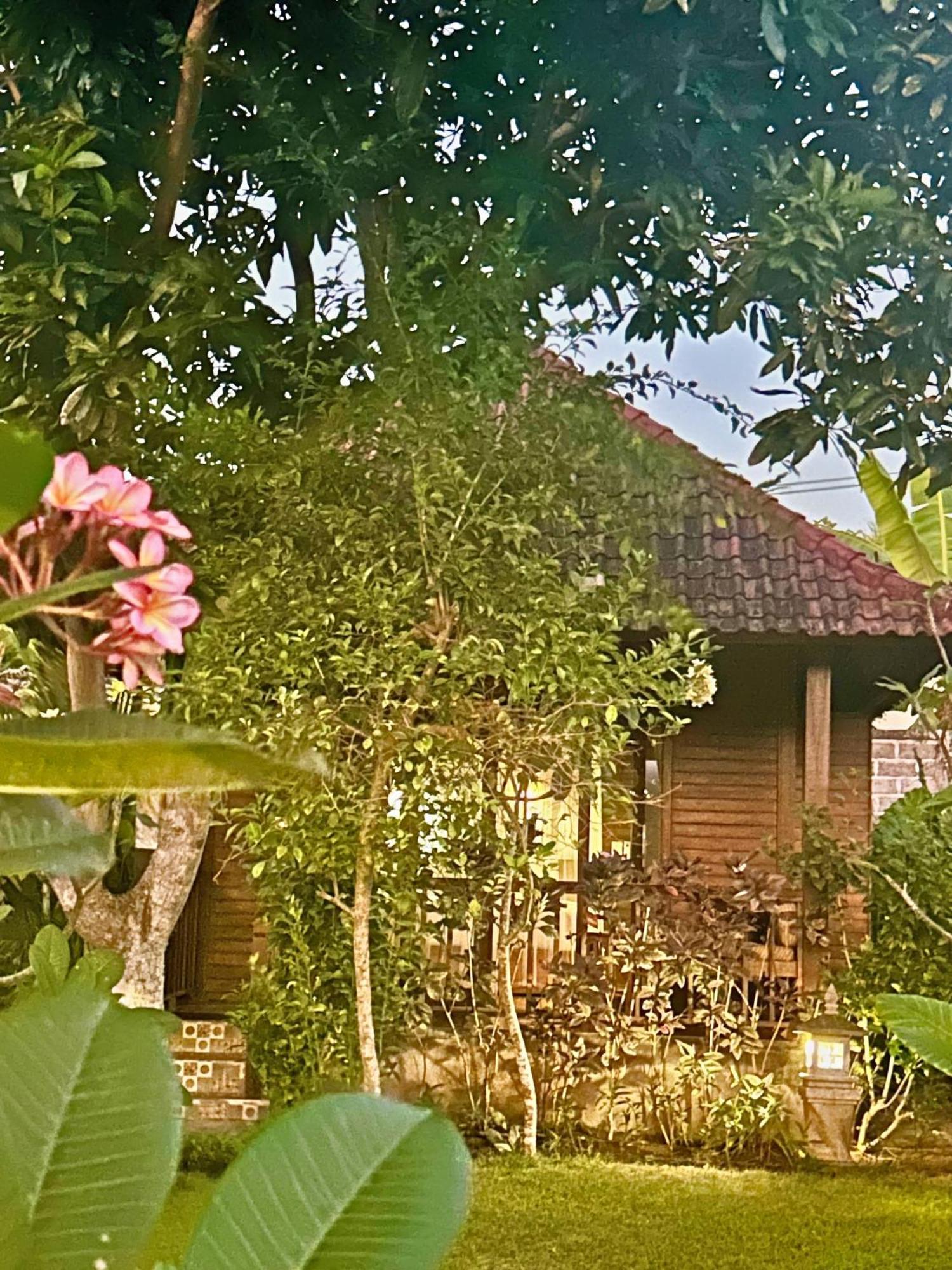 水手花园小屋住宿加早餐旅馆 蓝梦岛 外观 照片